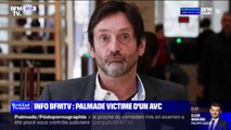 Ce que l'on sait de l'AVC dont a été victime Pierre Palmade