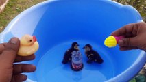 Satisfying whirlpools and ducklings. Whirlpool