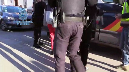 Vídeo de la operación de la Policía Nacional contra una red de estafa por internet.