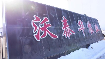 Çin'de Gübre Şirketleri İlkbahar Çiftçiliği Dönemine Hazırlanıyor