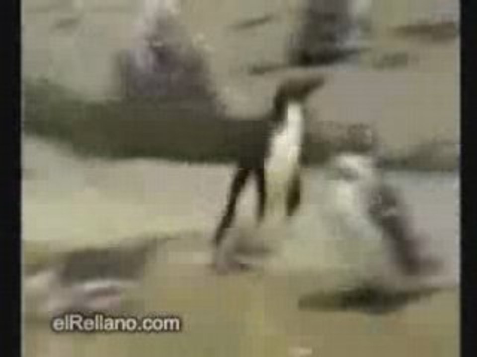 Aller au travail le matin