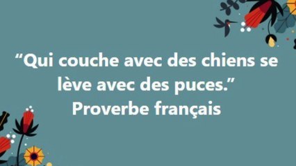 12)“Qui couche avec des chiens se lève avec des puces.” Proverbe français Proverbe français