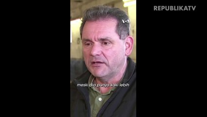 Anak Domba di Jerman Punya Kaki Enam