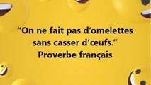 13)“On ne fait pas d’omelettes sans casser d’œufs.” Proverbe français Proverbe français
