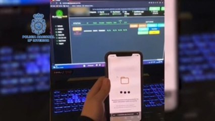 Detenidos 25 delincuentes que estafaron 350.000 euros a clientes de banca en internet
