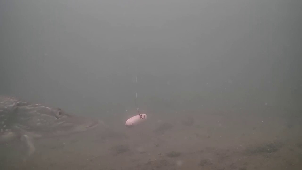 Ice Fishing with HOTDOGS for BIG Pike! (UNDERWATER STRIKE FOOTAGE,