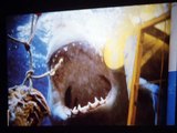 Shark Hunter - Die Jagd nach dem Urhai (2001) Filme Deustche HD
