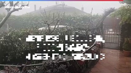 Neve oggi Bologna, fiocchi bianchi a Brento di Monzuno. Il video