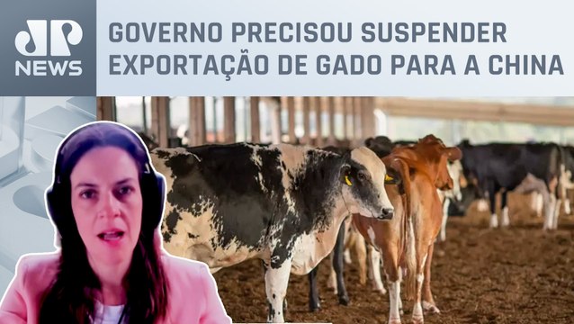 Veterinária explica efeitos e riscos causados pela “Vaca Louca”