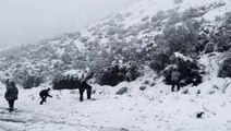 Heavy snow hits Los Angeles