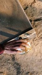 रेडिएटर को कैसे साफ करें how to clean a radiator