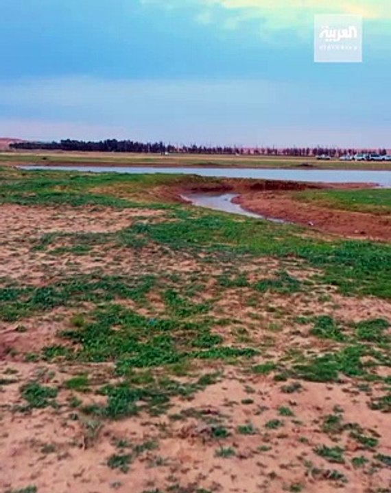 خبير أرصاد يوضح موعد بدء موسم «عقرب الدسم»