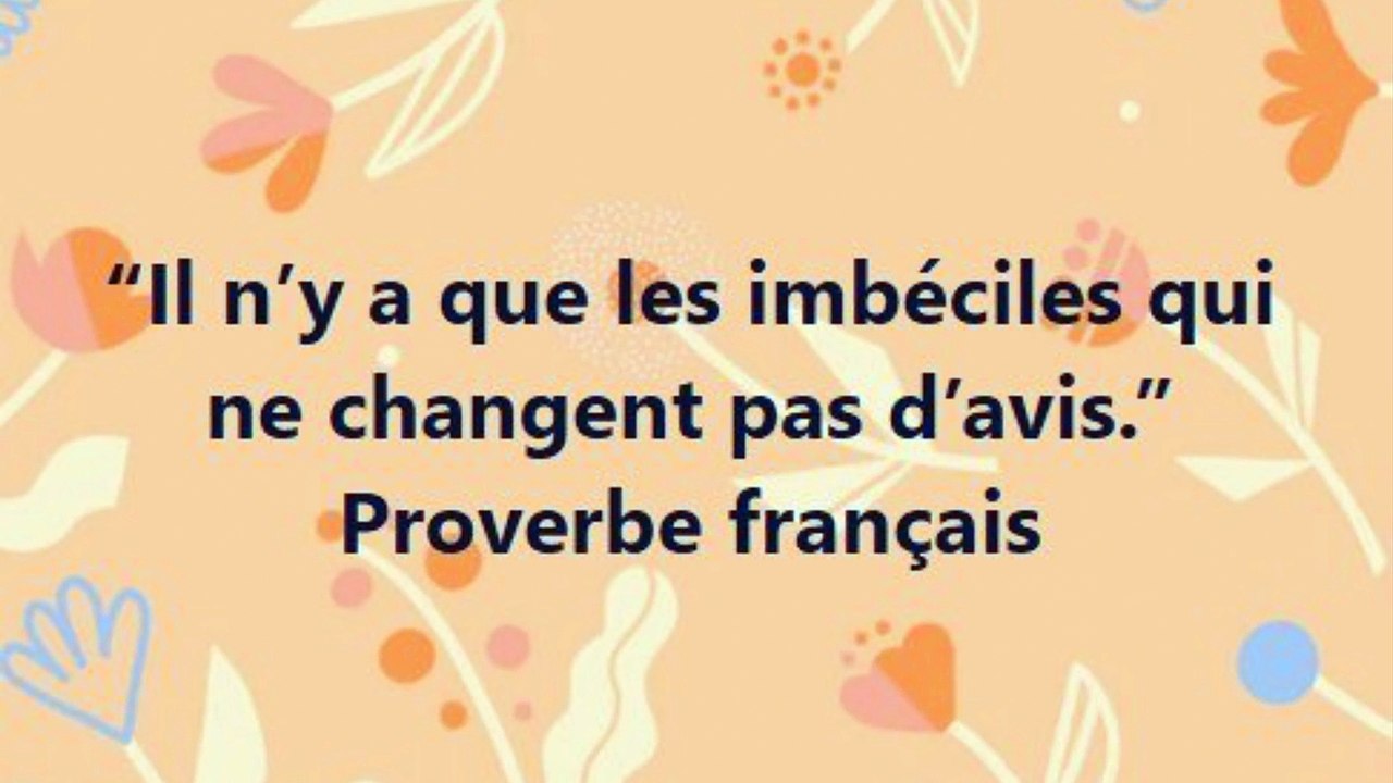 16) “Il n’y a que les imbéciles qui ne changent pas d’avis.” Proverbe français