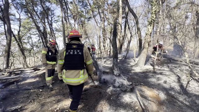 건조한 날씨에 곳곳 화재...산불 위기경보 '주의' 격상 / YTN