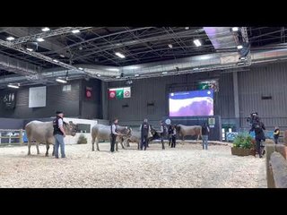 Salon International de l'agriculture : La Provence s'exporte à Paris