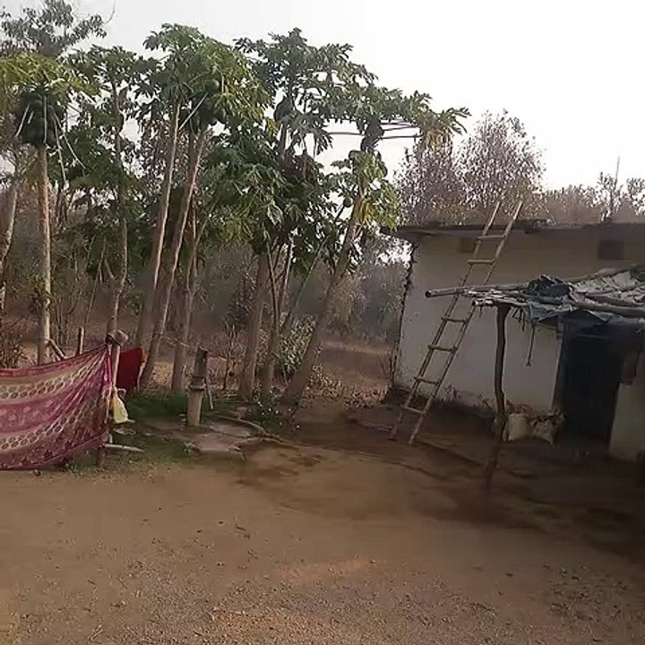 my first vlog mera gaon||my first vlog mera gaw ka video #video #viral video #youtubevideo