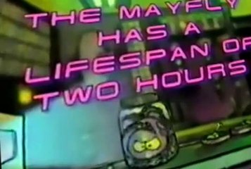 Cartoon Sushi Cartoon Sushi E008