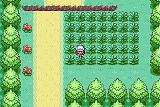 Pokémon Version Rouge Feu online multiplayer - gba