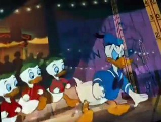 Donald Duck Donald Duck E150 Canvas Back Duck
