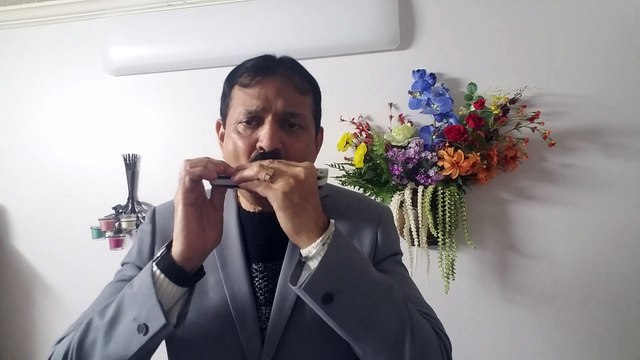O Basanti Pawanan Pagal-Film Jis Desh Mein Ganga Behti Hai 1960 on Harmonica Live Performance by Mukund Kamdar