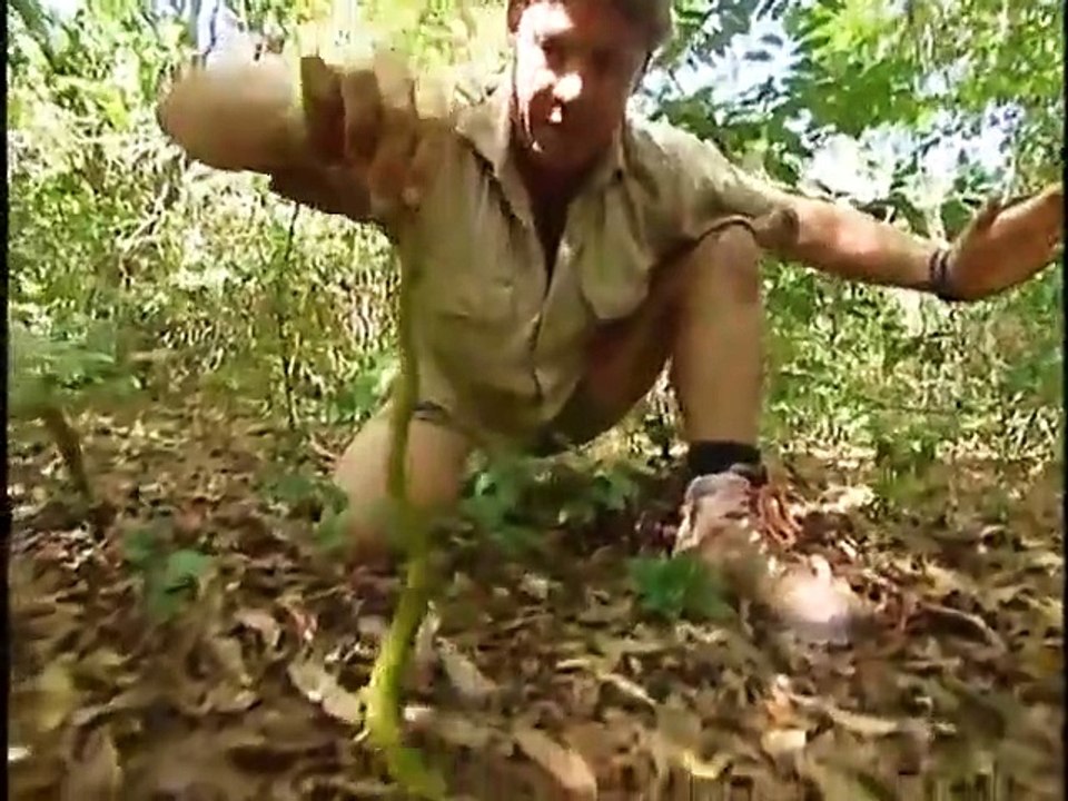 The Crocodile Hunter - Ep27 HD Watch