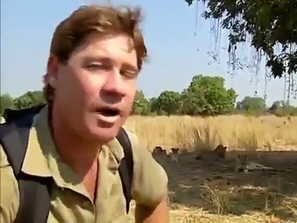 The Crocodile Hunter - Ep36 HD Watch