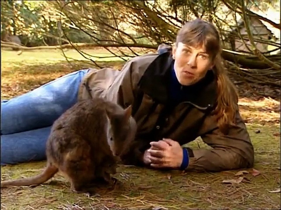 The crocodile hunter - ep38 hd watch