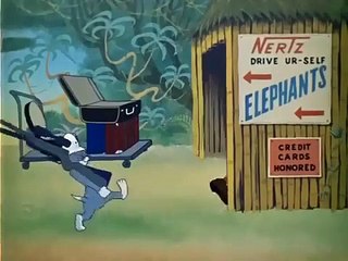 Tom and Jerry - Volume 6 - Ep11 - Sorry Safari HD Watch