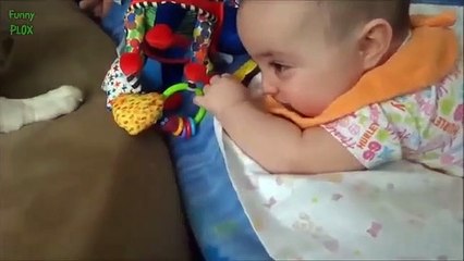 Puppies and Babies Playing Together Compilation - Funny Videos - Funny Clip