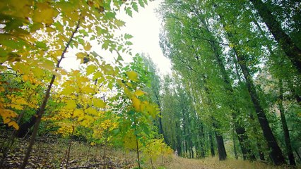 A Chinese Odyssey Love of Eternity - Se01 - Ep41 Watch HD