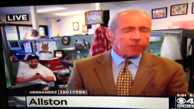 Funny Videos - Funny Fails - News Bloopers - Funny Moments - Funniest Fails Compilation #15