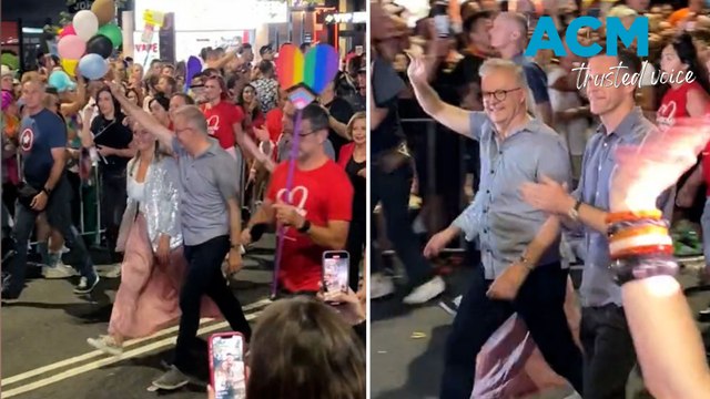 Anthony Albanese and other Labor leaders march in 2023 Mardi Gras