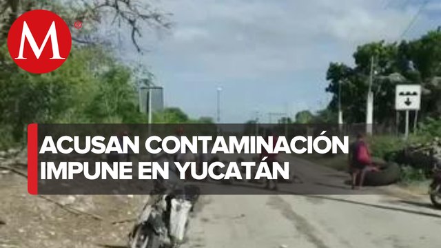 Comunidad Maya lucha contra la instalación de una granja porcícola; Yucatán