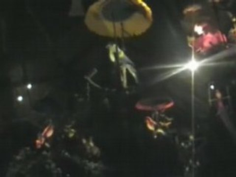 The enchanted tiki room (UNM)-adventureland-magic kingdom