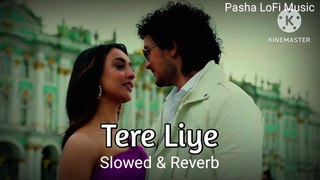 Tere Liye ( Slowed & Reverb ) Song || Pasha LoFi