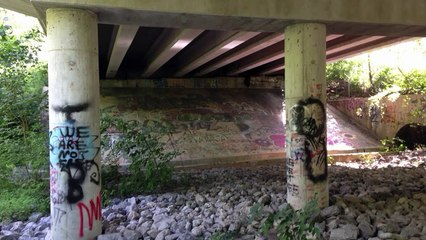 RealL - Alex Dionisio