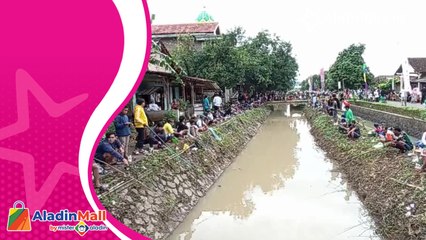 Ramai dan Seru, Seribu Peserta Mengikuti Lomba Mancing di Sungai Aji, Kendal
