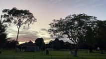 Flying foxes being discouraged from roosting in Lissner Park | February 2023 | North Queensland Register