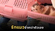 หนุ่มกำเงิน 20 บาท ก้อนสุดท้ายของชีวิต รักษาแมวป่วย คนอดไม่เป็นไร แต่แมวต้องหายดี