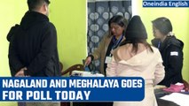 Nagaland & Meghalaya goes for assembly polls, BJP, TMC and Congress in fray | Oneindia News