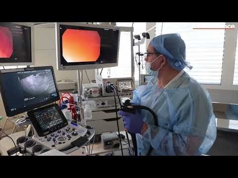 L’Institut Paoli Calmettes : l'intelligence artificielle au service de la lutte contre le cancer