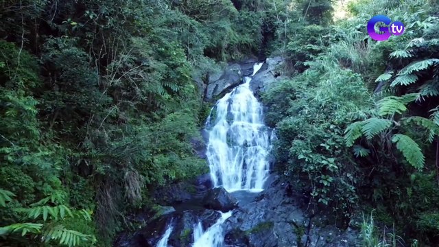 Chef JR Royol puts coffee in a barbecue dish | Farm To Table