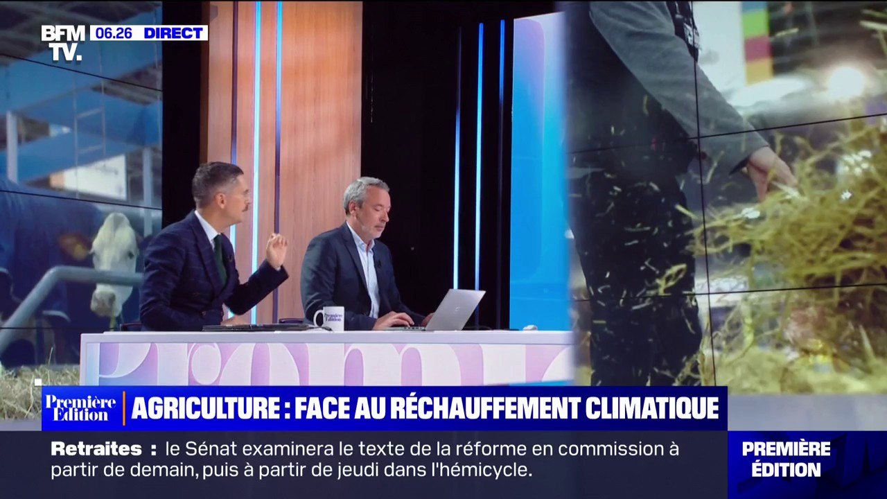 Comment les agriculteurs tentent-ils de s'adapter au réchauffement climatique ?