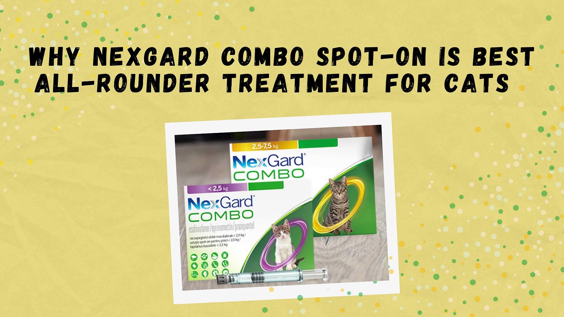 Why NexGard Combo Spot-On is Best All-Rounder Treatment For Cats - video  Dailymotion