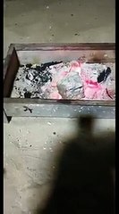 37 -حقيقة قصة السوريتين في سلطنة عمان والأمريكي في البحرين !! سوالف طريق