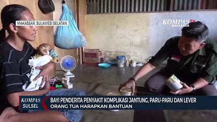 Descargar video: Bayi Penderita Komplikasi jantung, Paru-Paru dan Lever