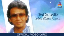 Ted Sutedjo - Aku Cinta Kamu (Official Lyric Video)