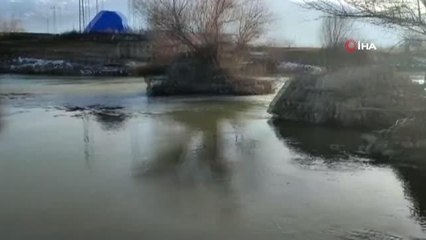 Nehirde mahsur kalan köpek kurtarıldı