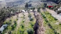 Zeytin bahçesinde deprem sonrası dev yarıklar oluştu