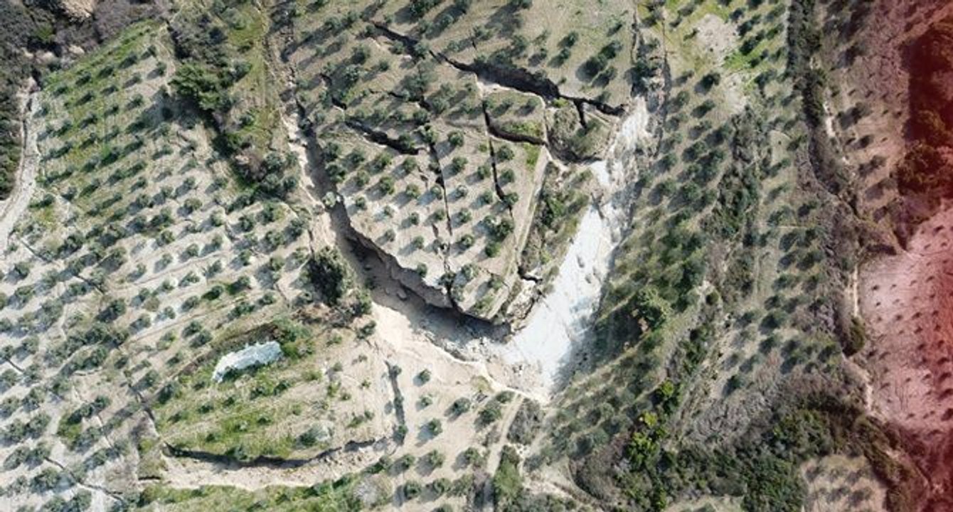 Zeytin bahçesinde deprem sonrası dev yarıklar oluştu